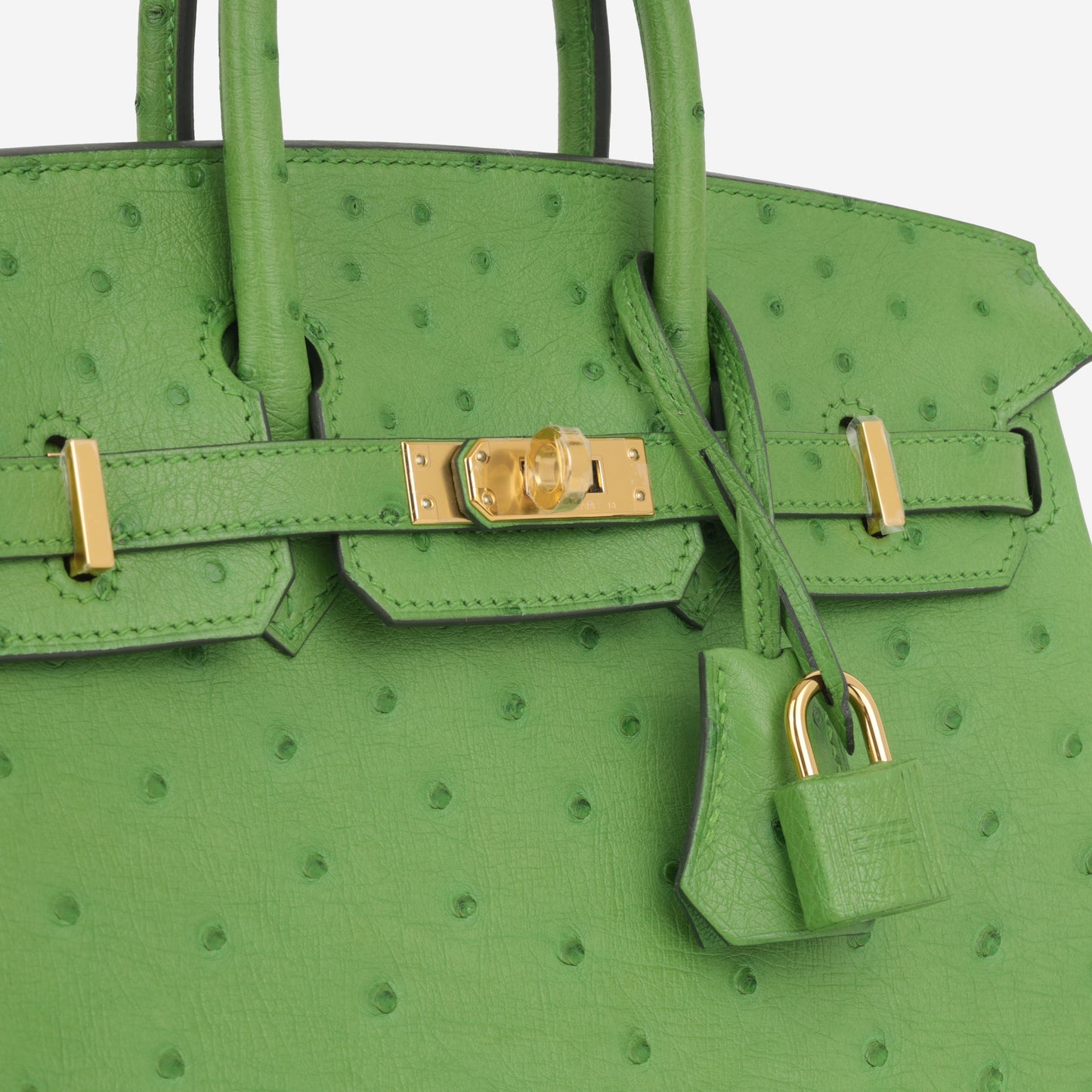 Hermès Birkin 25 - Vert Yucca Ostrich | Gold Hardware