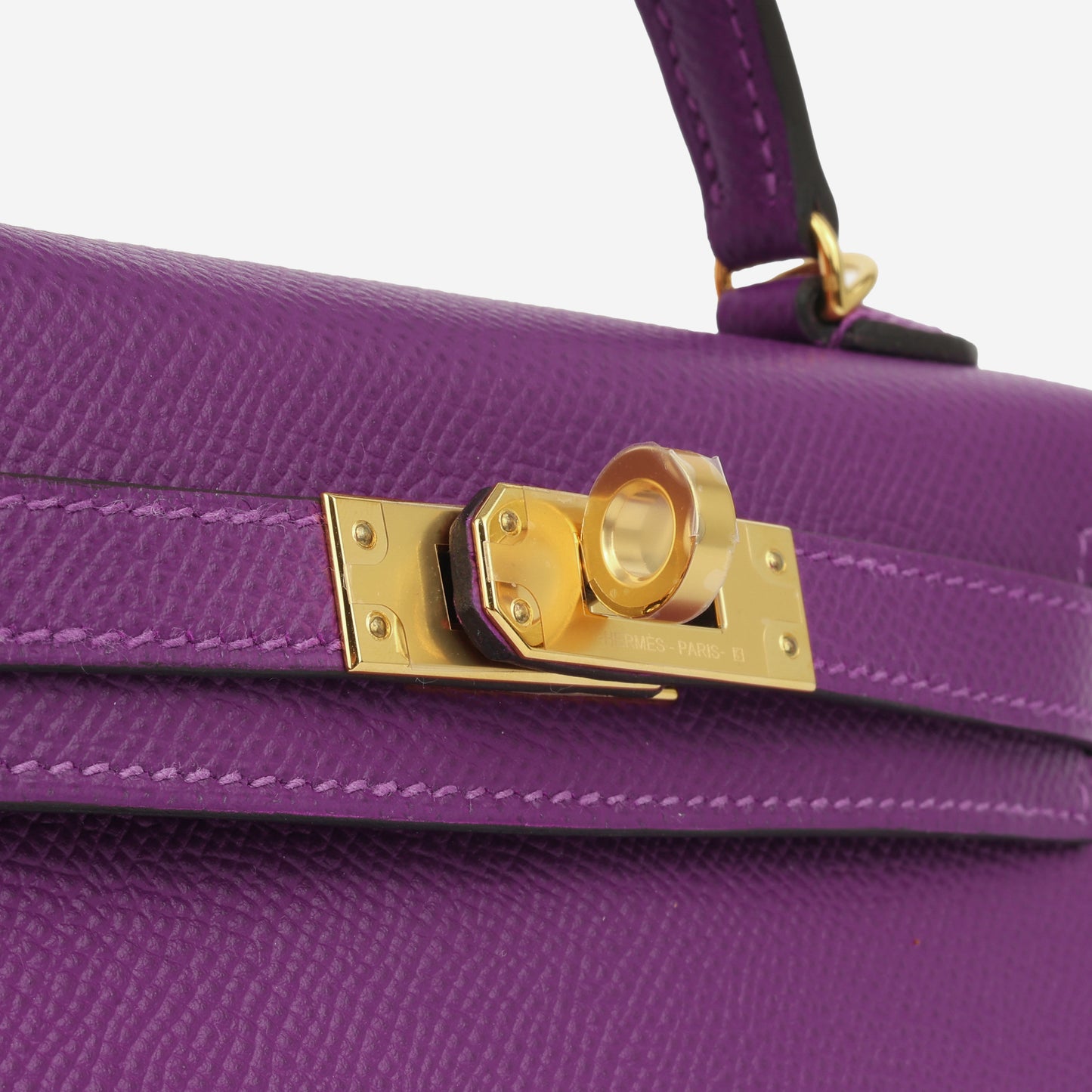 Mini Kelly - Anemone