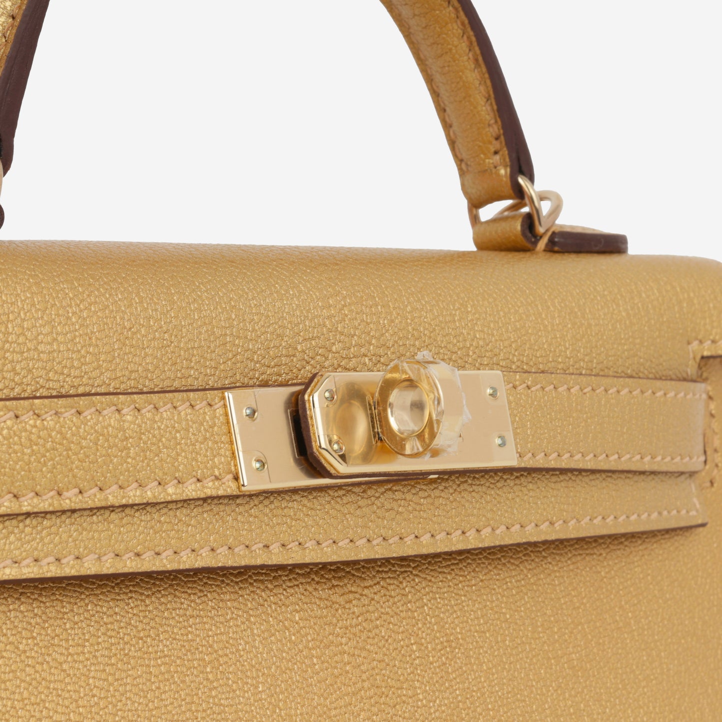 Kelly 20 - Dore Chevre