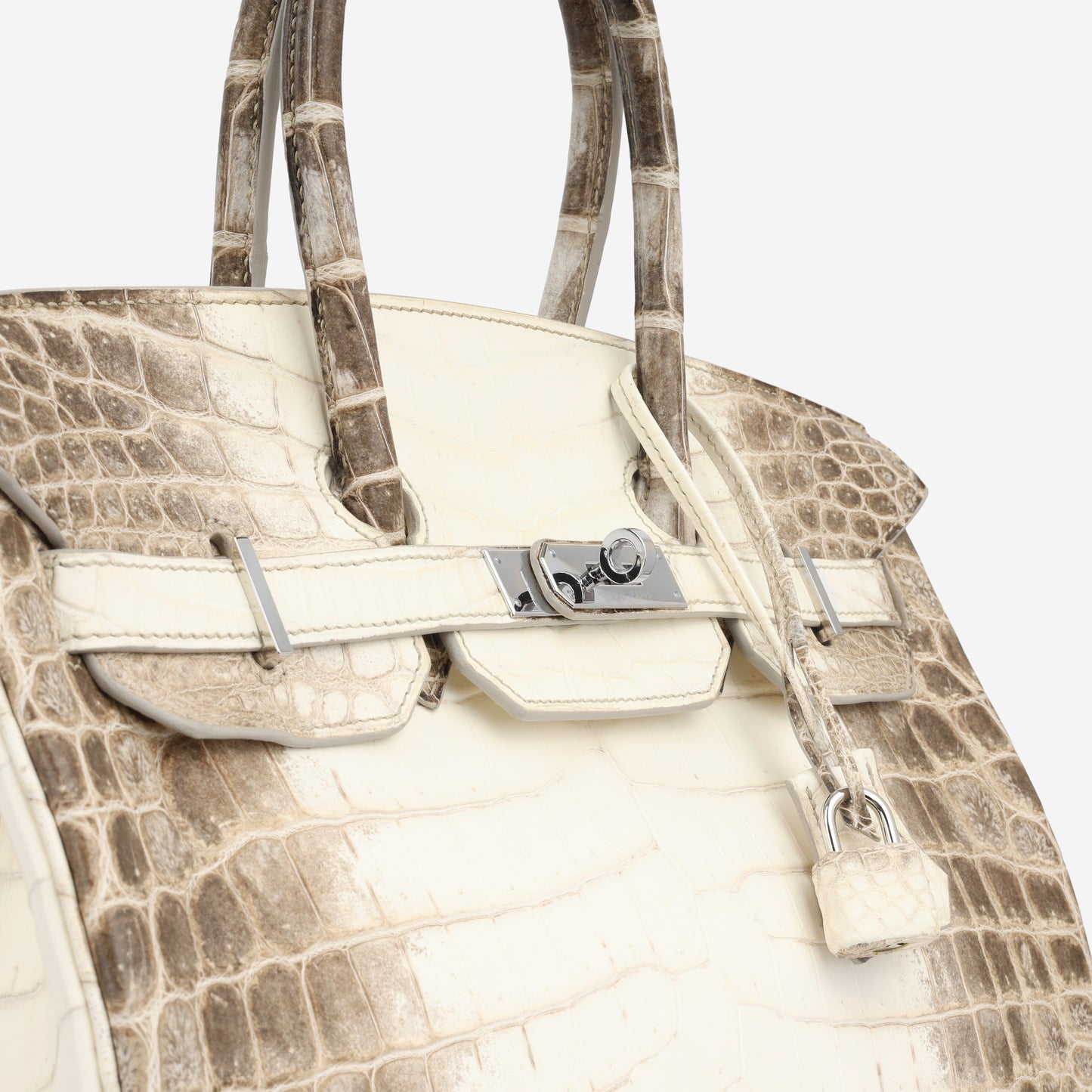 Birkin 35 - Himalaya Crocodile Niloticus
