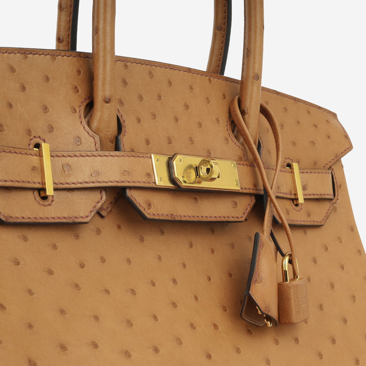Birkin 30 - Cognac Ostrich