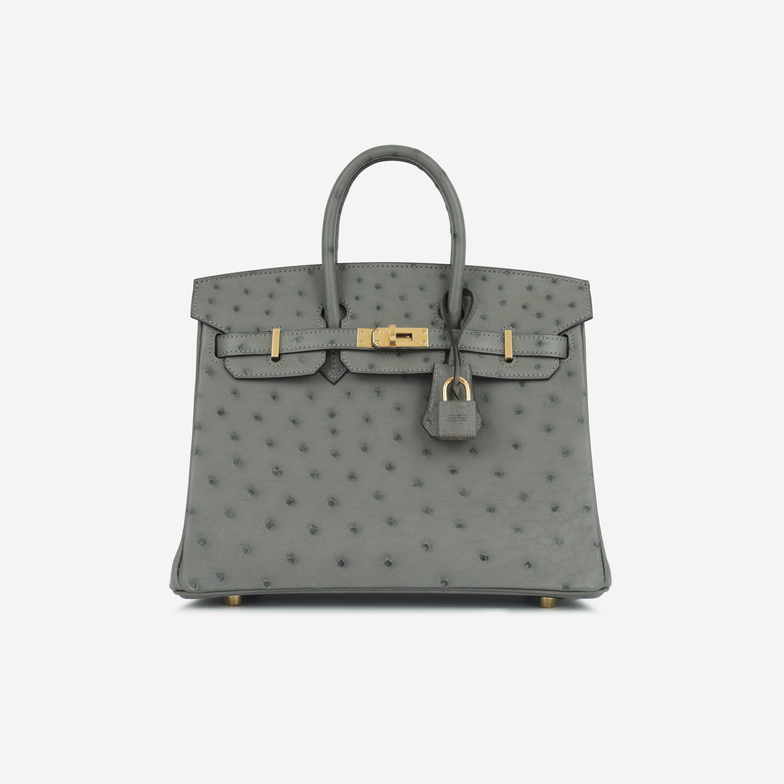 Hermès - Birkin 25 - Gris Meyer Ostrich GHW - 2024 - Brand New 