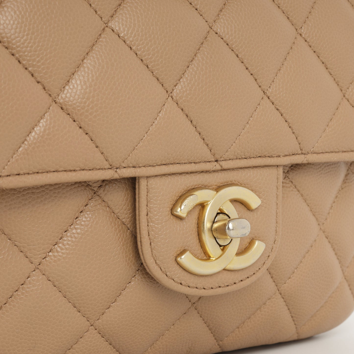 Seasonal Camera Flap