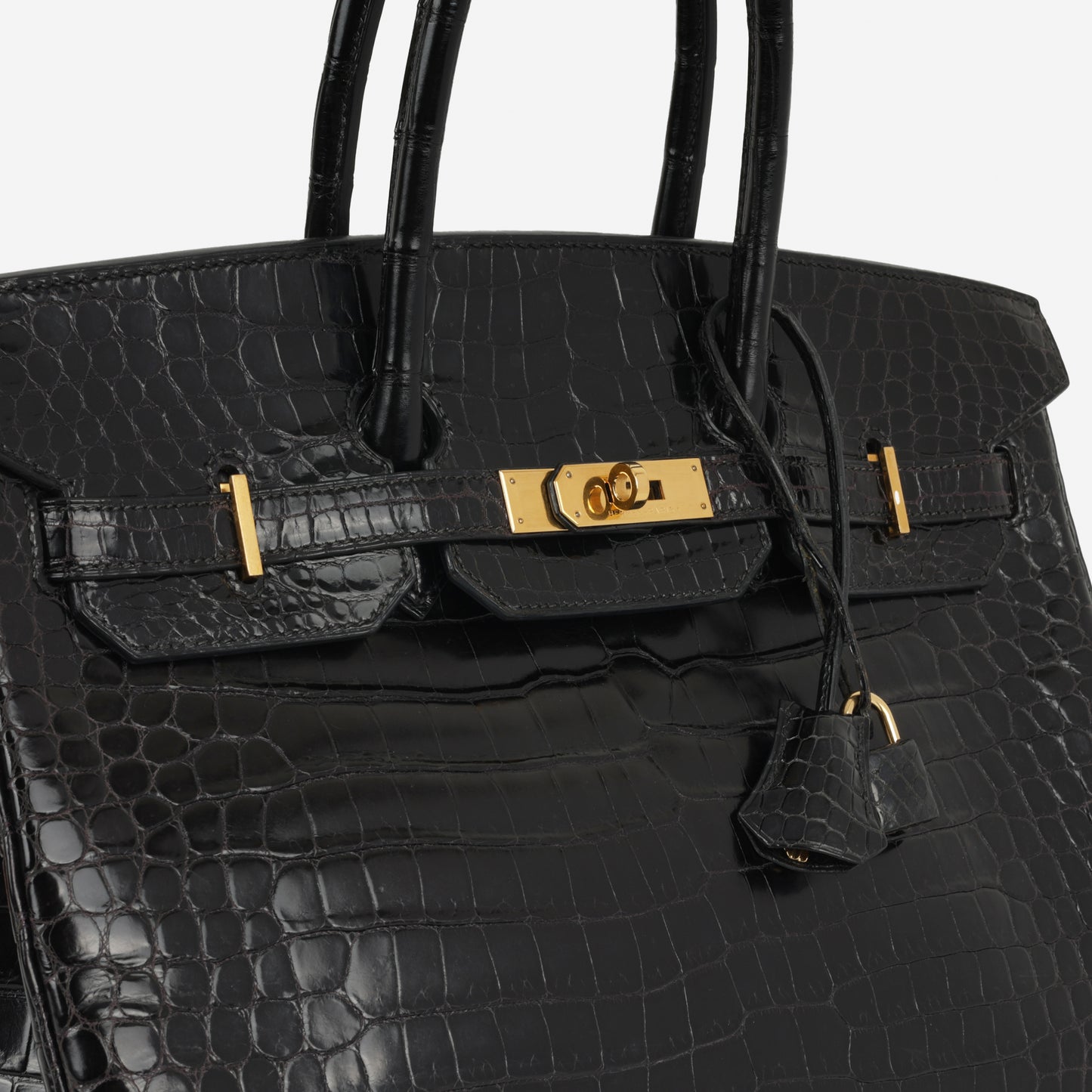 Hermès Birkin 35 - Noir Matte Crocodile Porosus | Gold Hardware