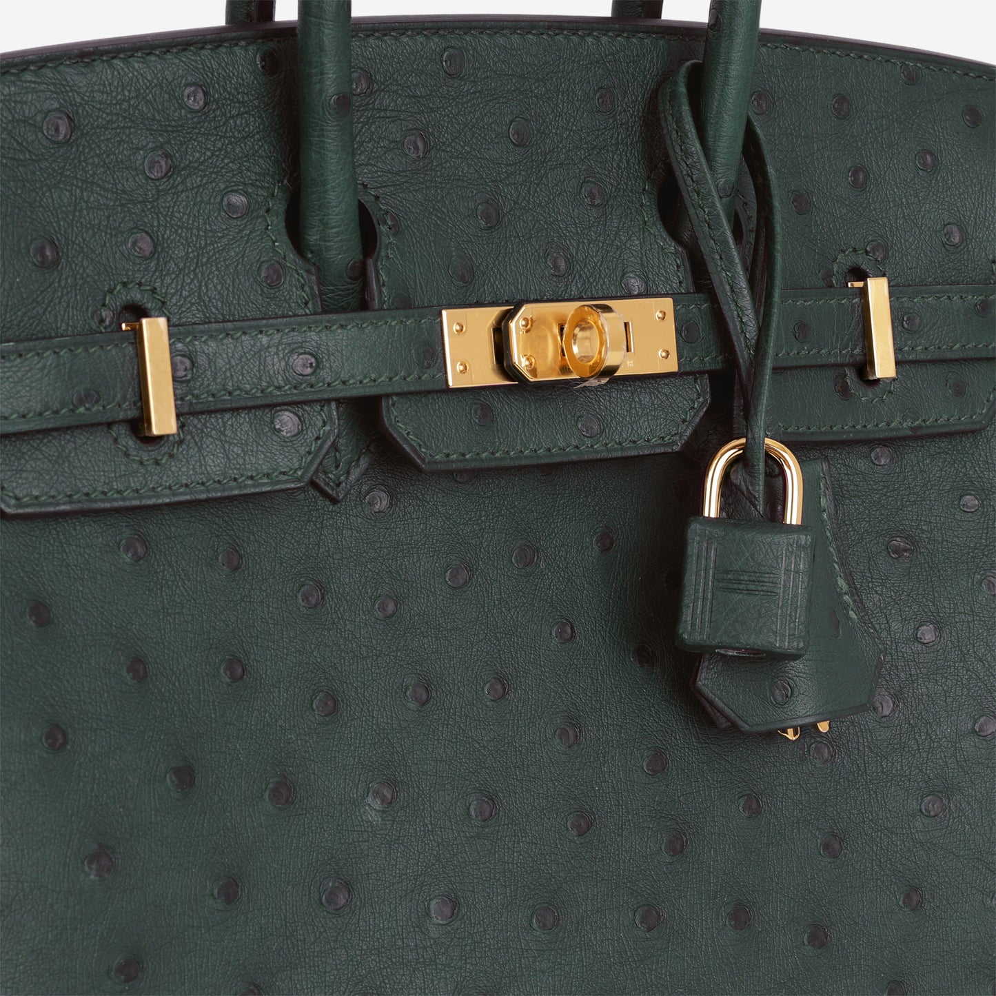 Hermès Birkin 25 - Vert Cypres Ostrich | Gold Hardware