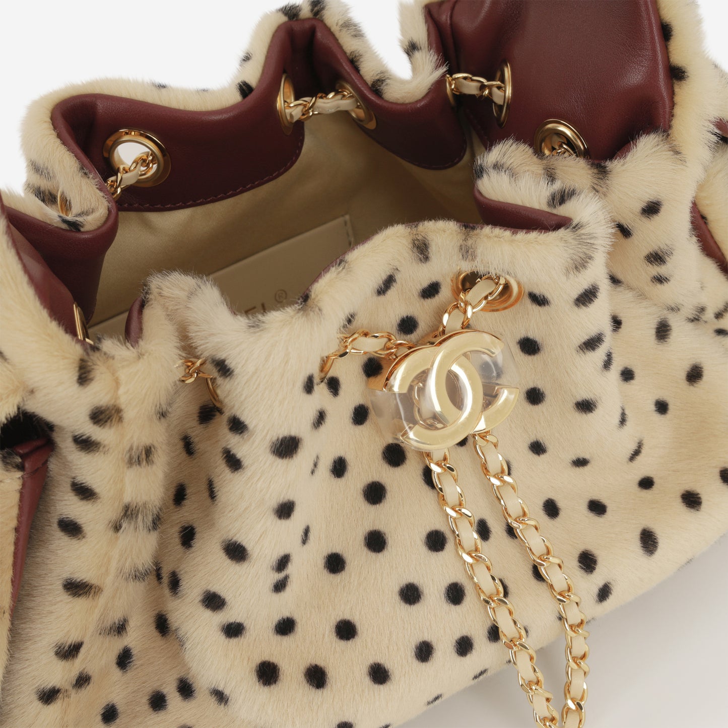 Chanel Metiers D'Art Mini 25 Hobo - Dalmatian Print | Polished Gold Hardware