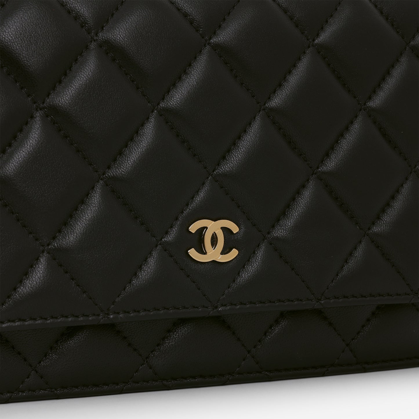 Chanel Seasonal WOC - Black Lambskin | Gold Hardware
