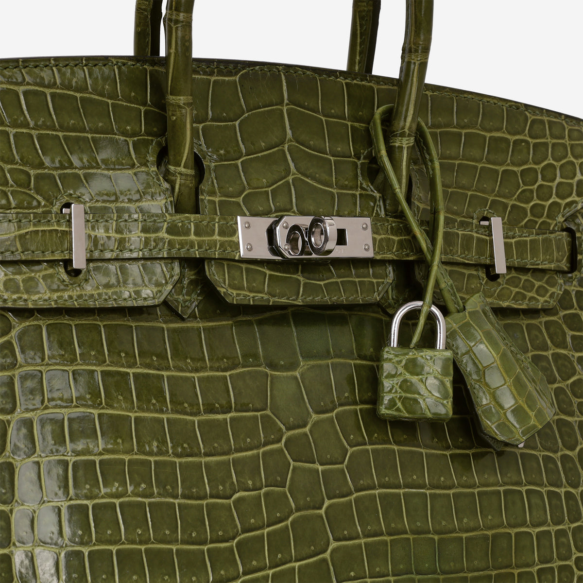 Hermès Birkin 25 - Vert Veronese Crocodile Porosus | Palladium Hardware