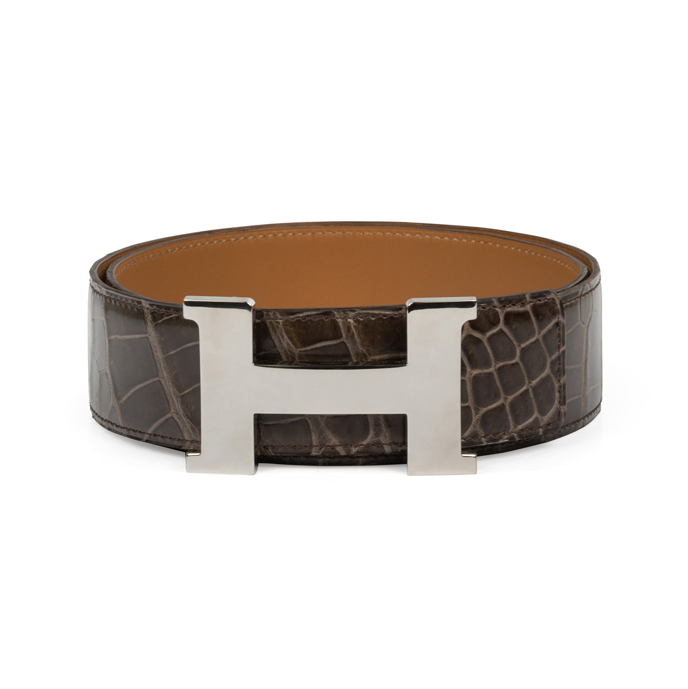 Crocodile Belt - Main Image