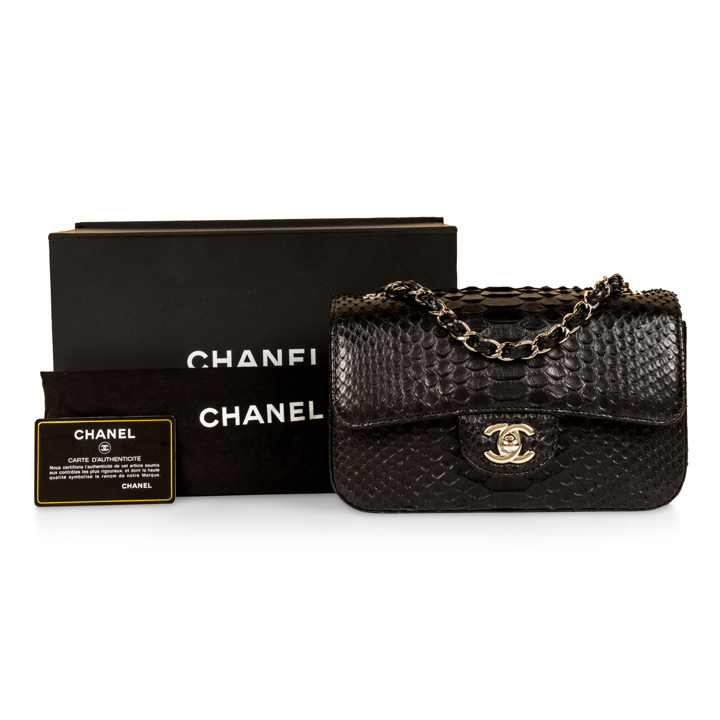 Classic Flap Bag - Mini Rectangular - Python