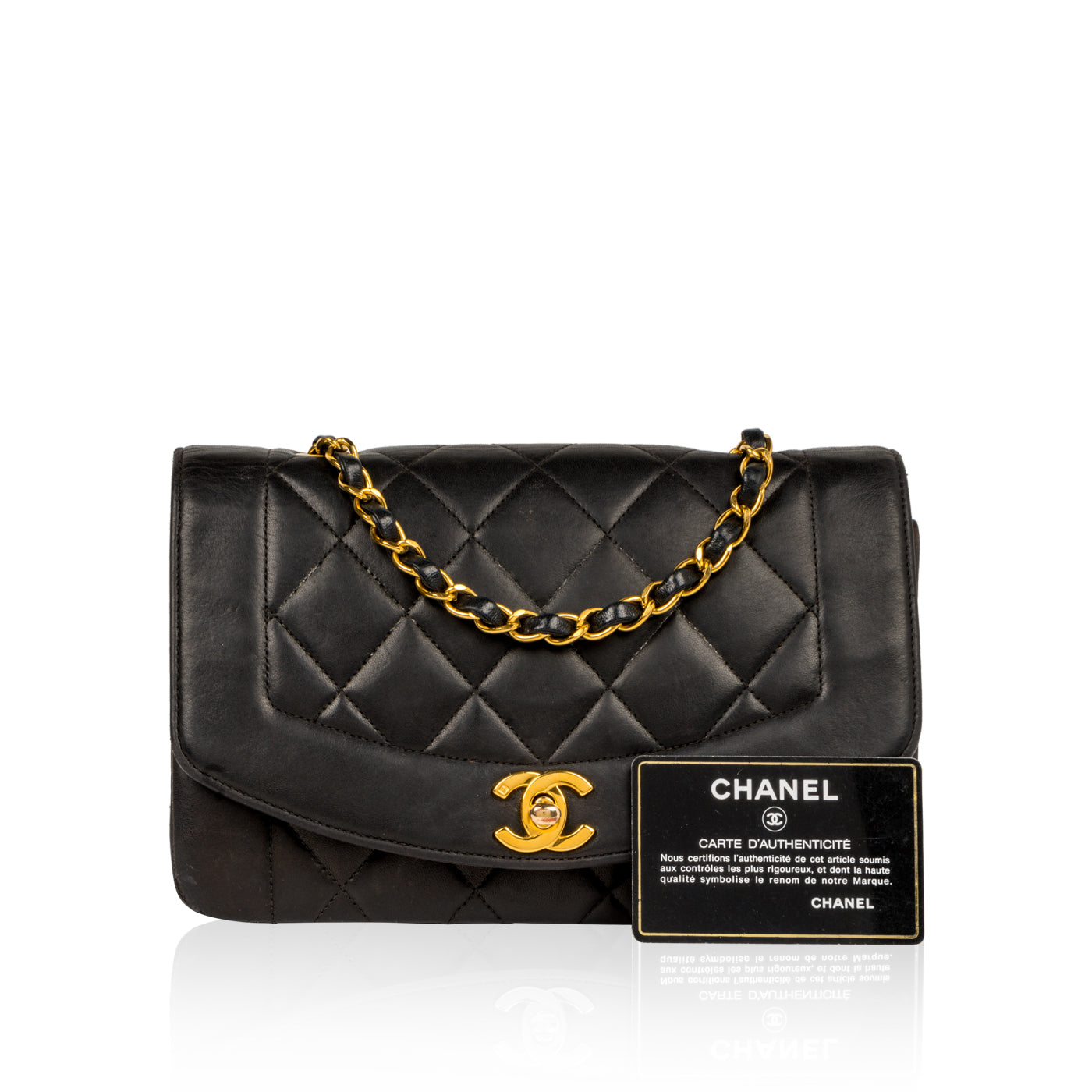 Diana Vintage Flap Bag