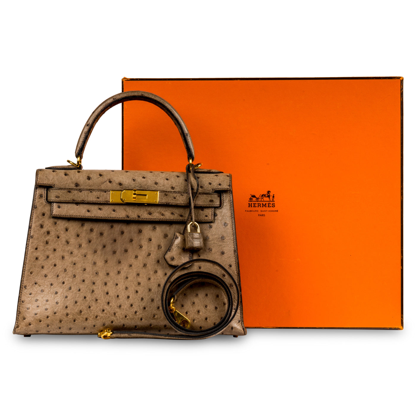 Kelly 28 - Grey Ostrich