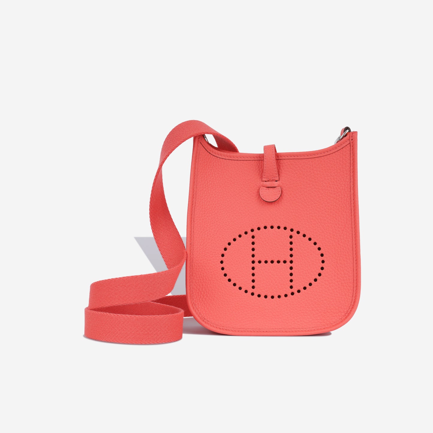 Evelyne TPM - Rose Texas Maurice