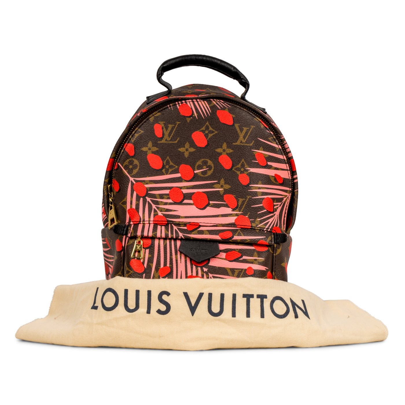 Palm Springs Backpack PM - Jungle Monogram