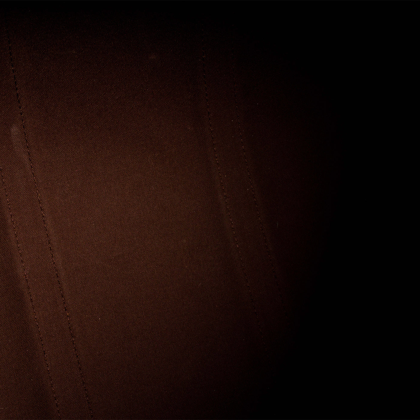 Keepall 50 - Damier Ebene Canvas