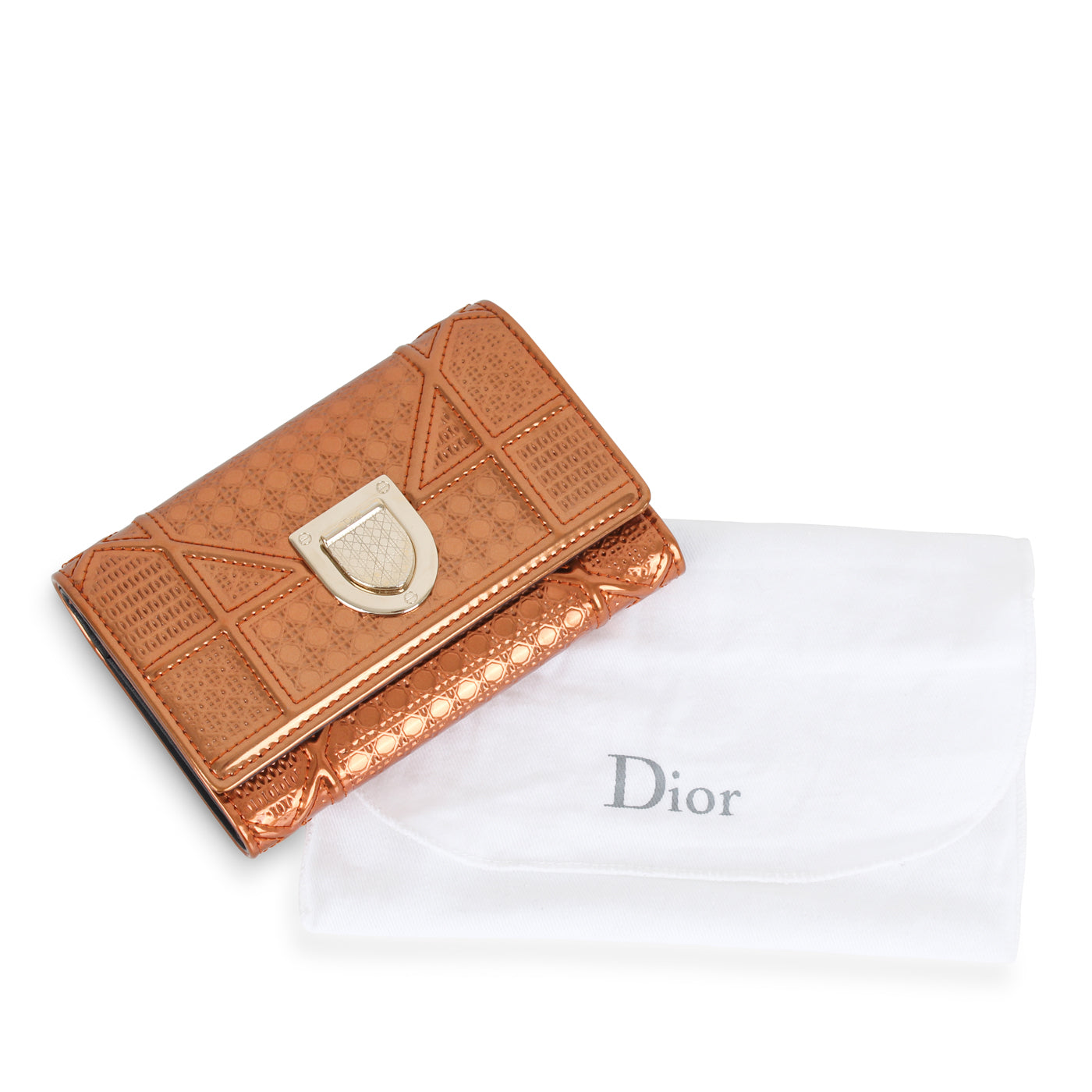 Diorama Purse - Bronze