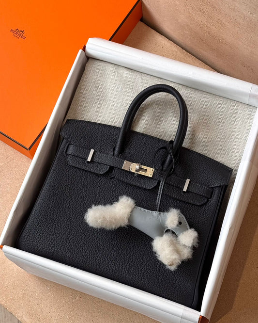 Hermès Birkin 25 - Caban Togo | Brushed Palladium Hardware