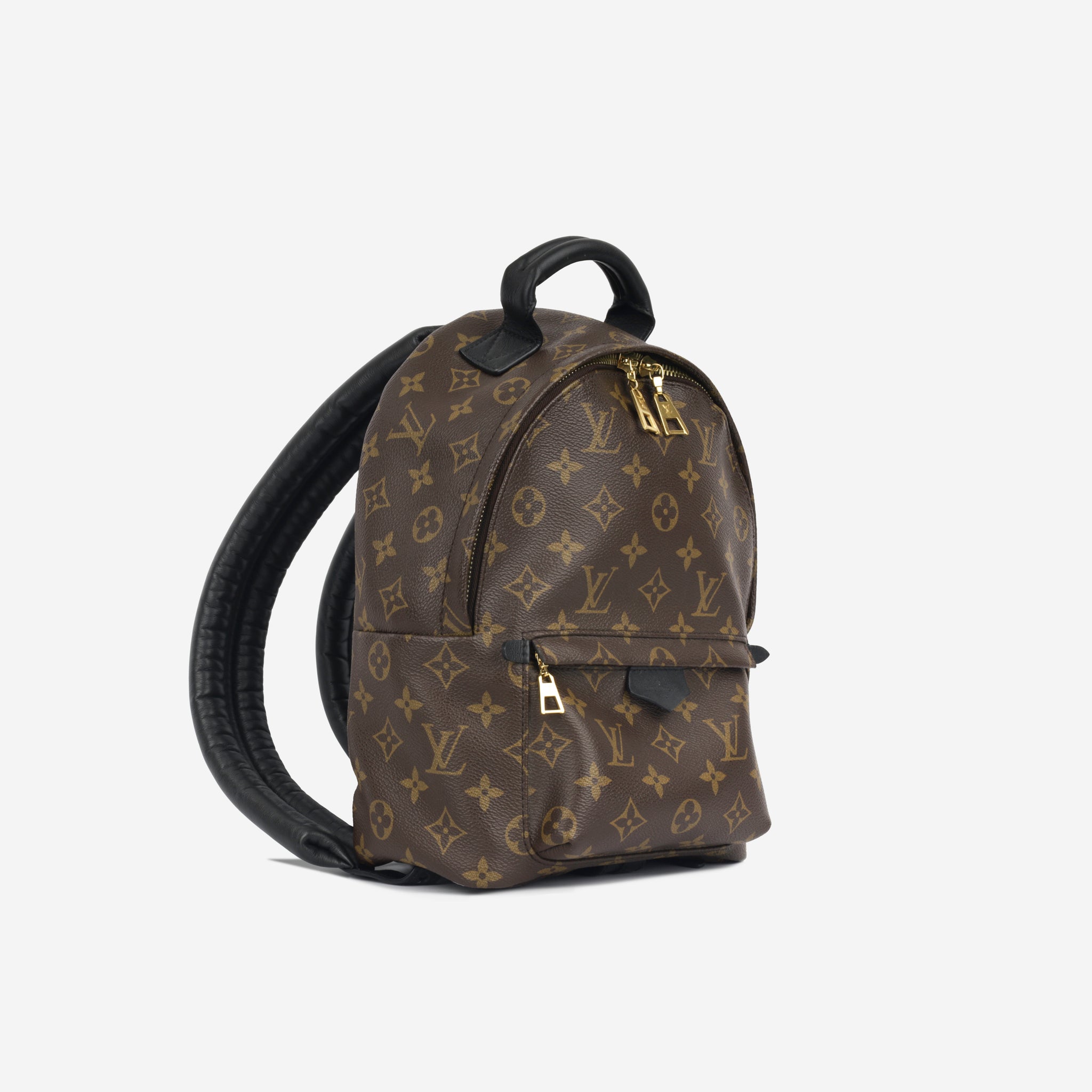 Louis Vuitton Monogram Canvas Palm Springs PM Backpack Bag