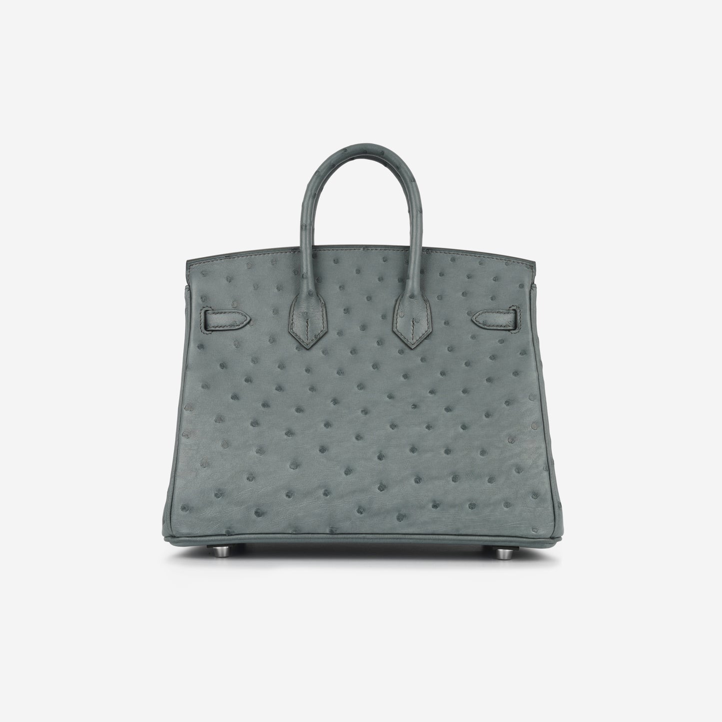 Birkin 25 - Vert Amande Ostrich