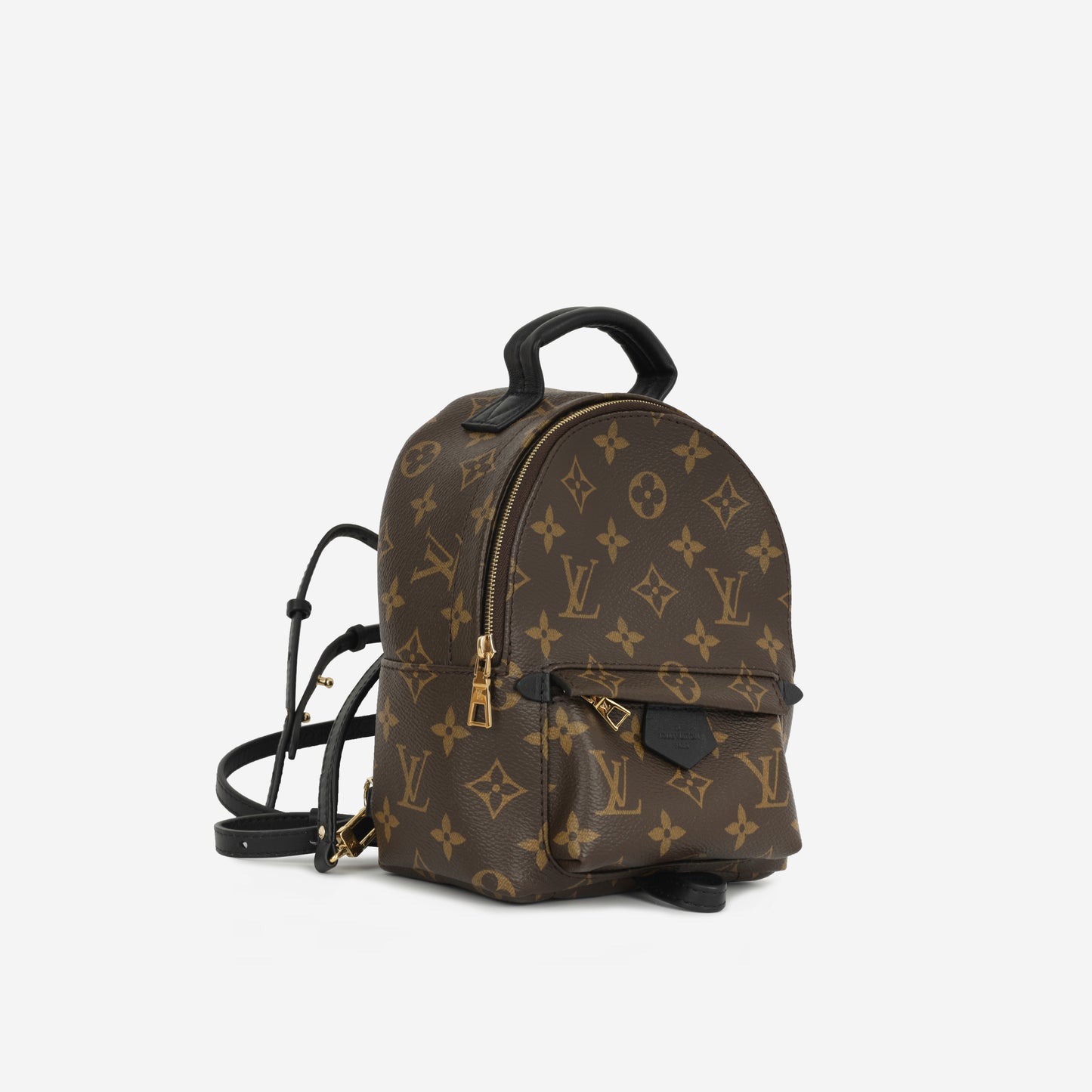 Mini Palm Spring Backpack