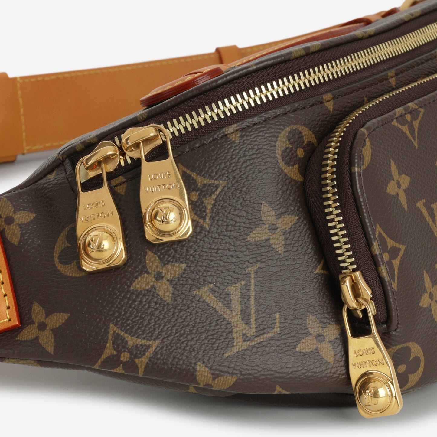 Louis Vuitton Rush Bumbag - Monogram | Gold Hardware