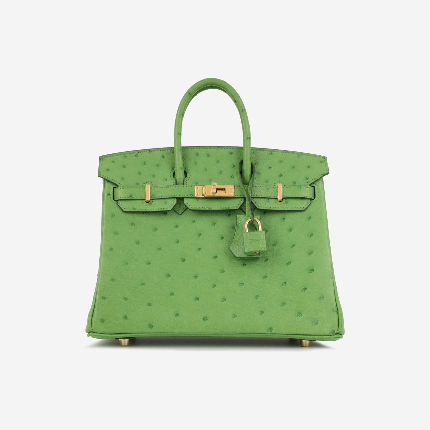 Hermès Birkin 25 - Vert Yucca Ostrich | Gold Hardware