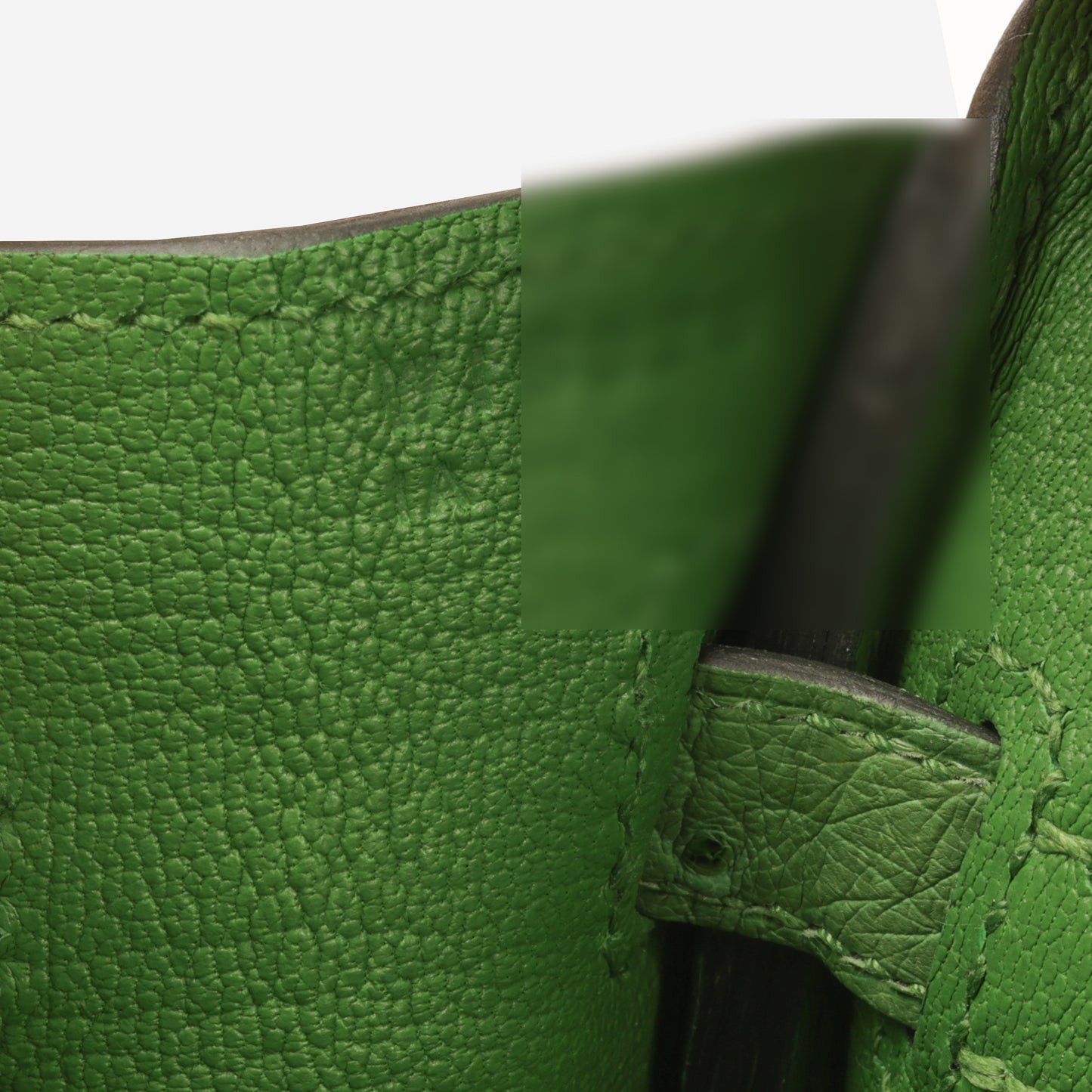 Hermès Birkin 25 - Vert Yucca Ostrich | Gold Hardware