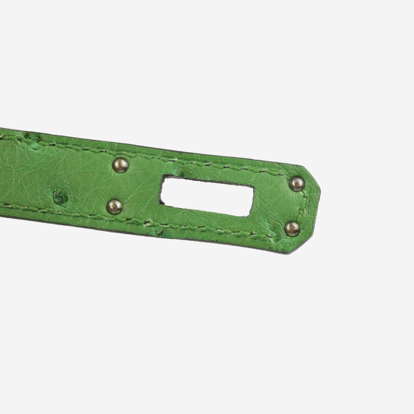 Hermès Birkin 25 - Vert Yucca Ostrich | Gold Hardware