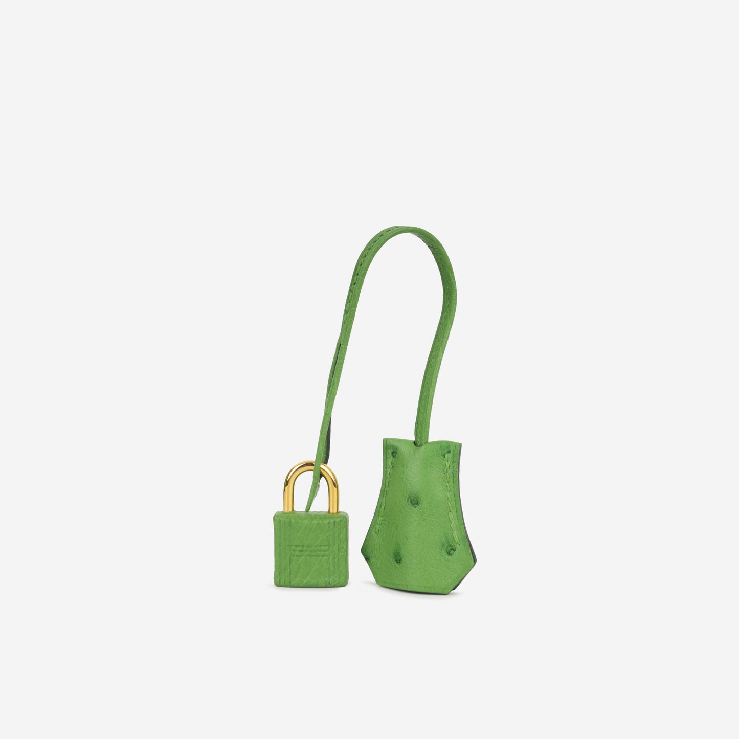 Hermès Birkin 25 - Vert Yucca Ostrich | Gold Hardware