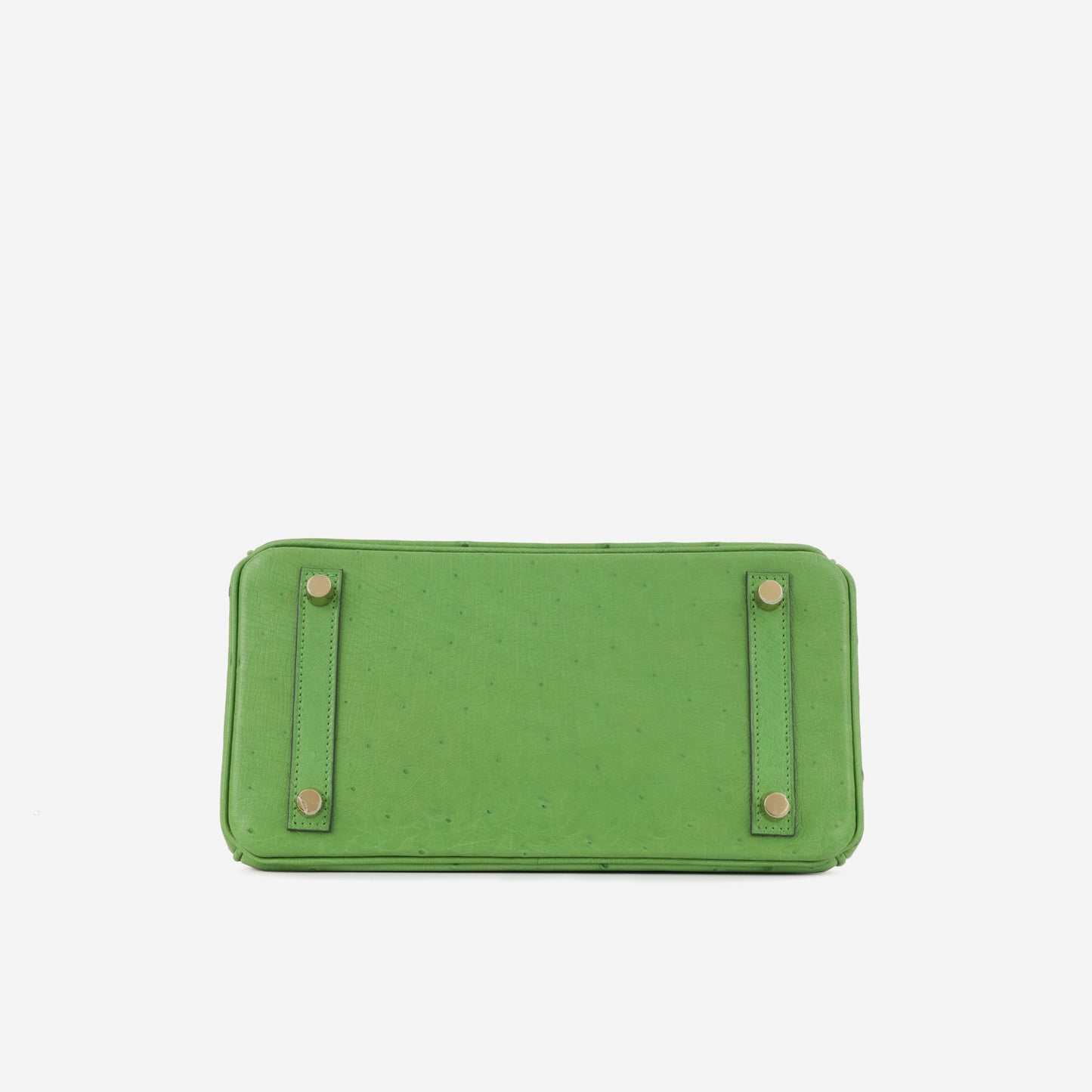 Hermès Birkin 25 - Vert Yucca Ostrich | Gold Hardware