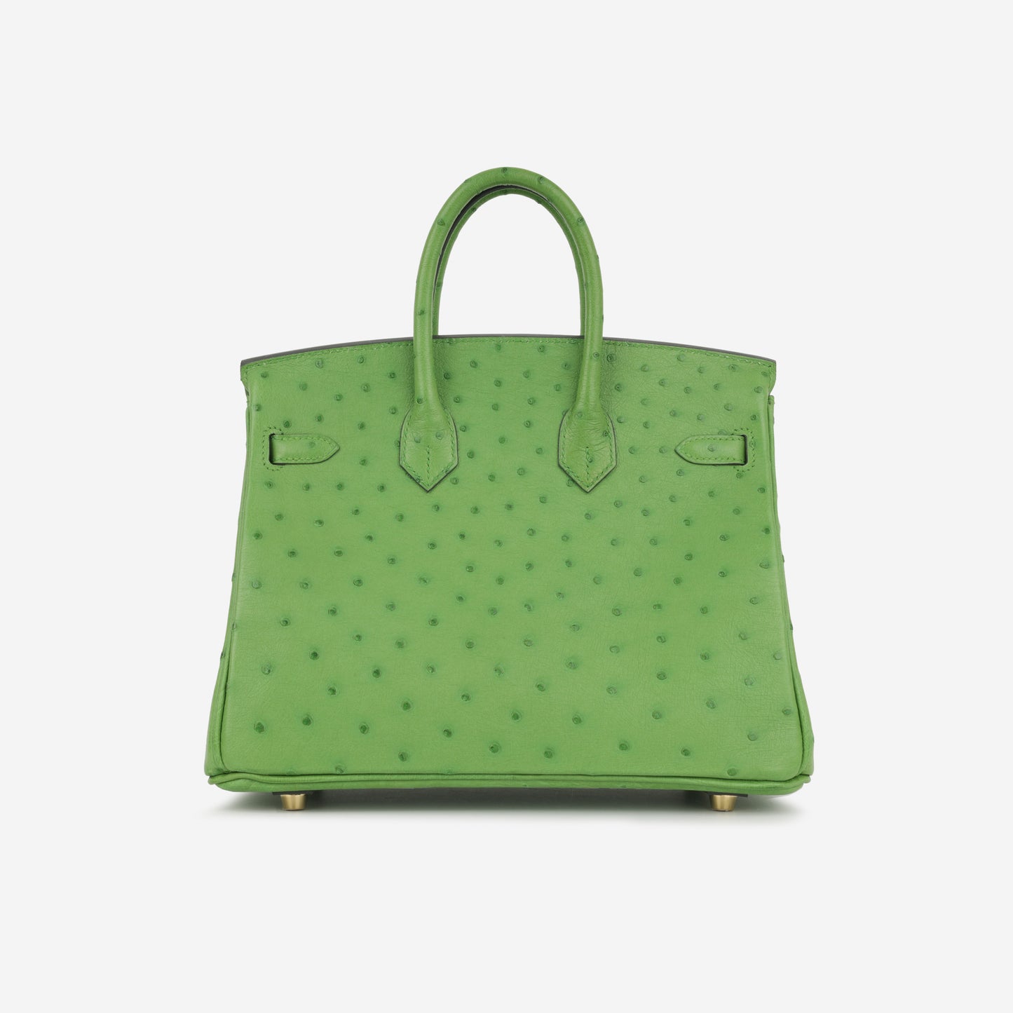 Hermès Birkin 25 - Vert Yucca Ostrich | Gold Hardware