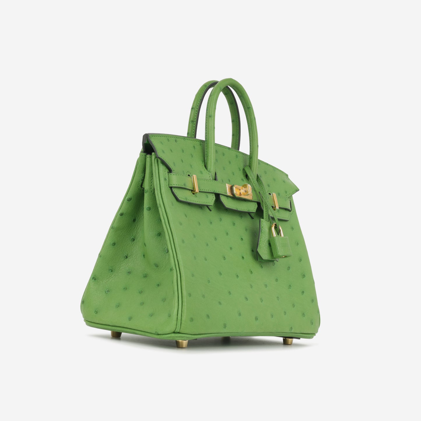 Hermès Birkin 25 - Vert Yucca Ostrich | Gold Hardware