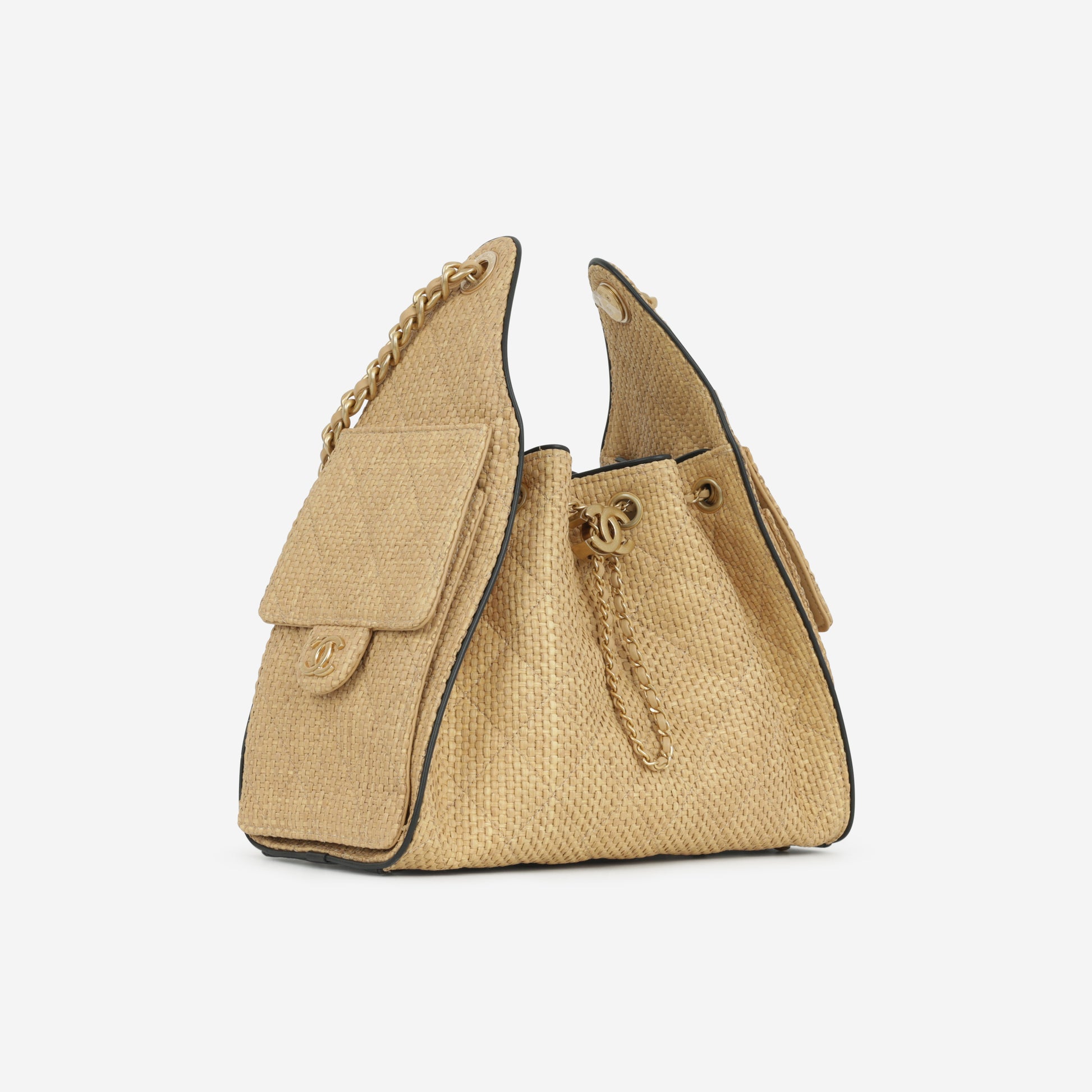 Chanel Small 25 Hobo - Beige Braided Raffia | Gold Hardware - Bagista