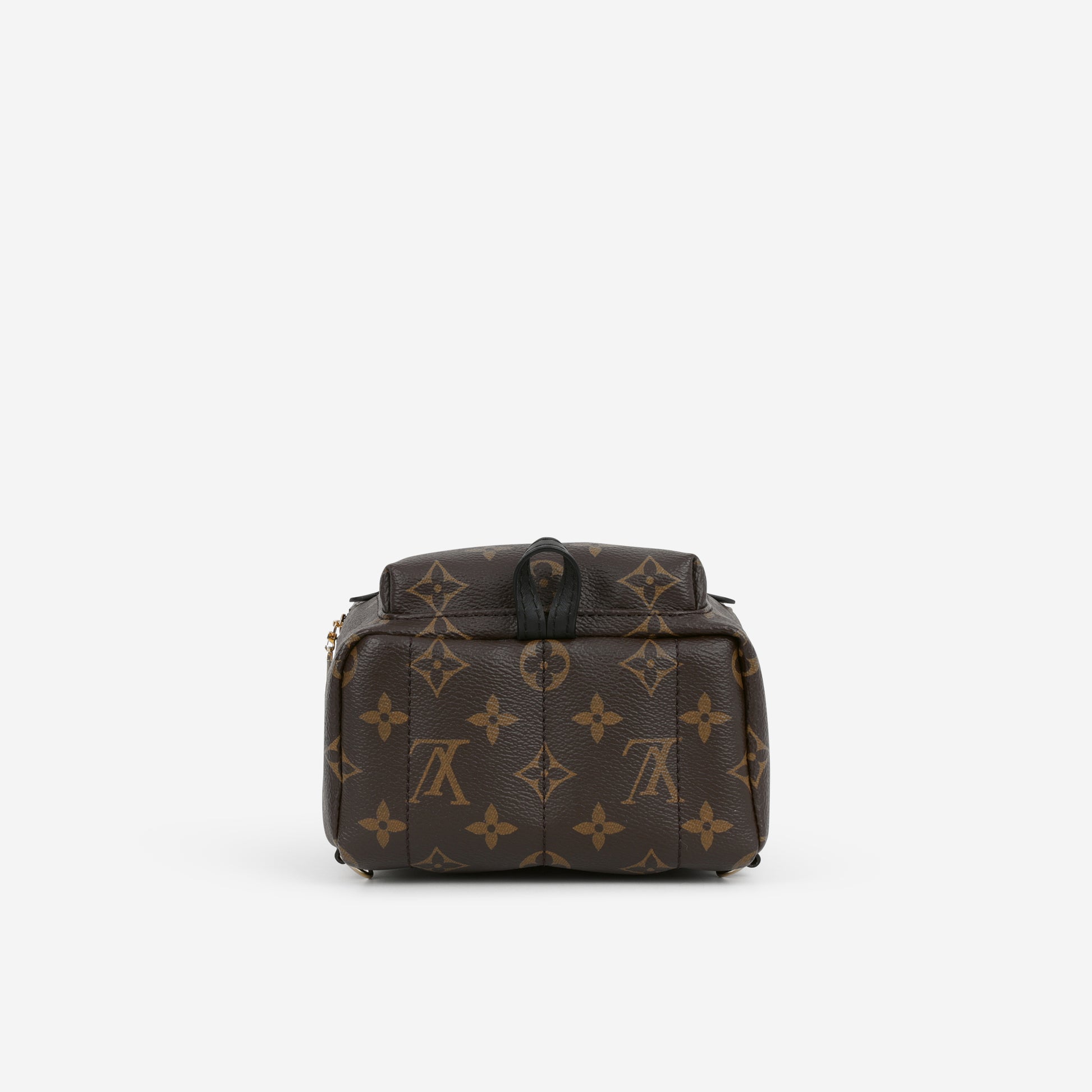 Louis Vuitton Mini Palm Spring Backpack - Monogram | Gold Hardware - Bagista