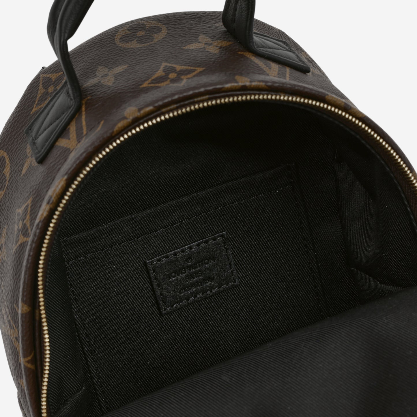 Louis Vuitton Mini Palm Spring Backpack - Monogram | Gold Hardware - Bagista