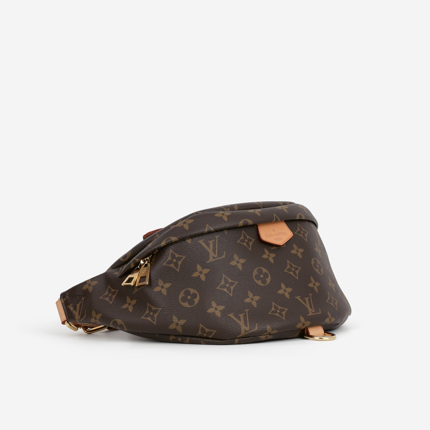 Louis Vuitton Bumbag - Monogram Canvas | Gold Hardware
