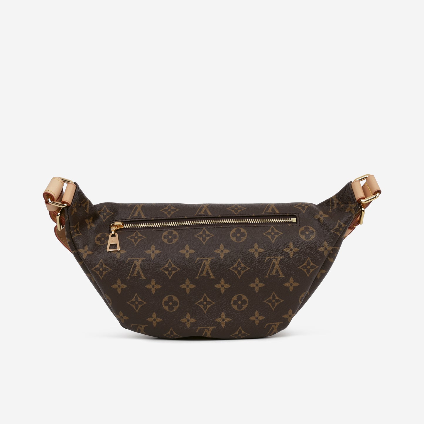 Louis Vuitton Bumbag - Monogram Canvas | Gold Hardware