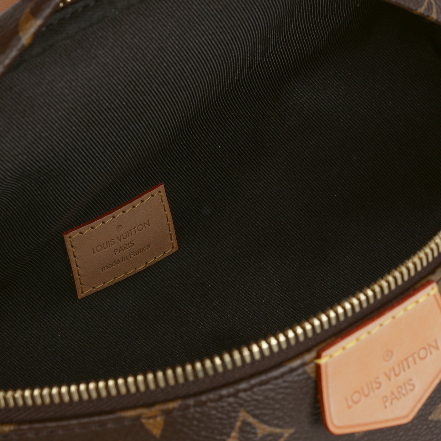 Louis Vuitton Bumbag - Monogram Canvas | Gold Hardware