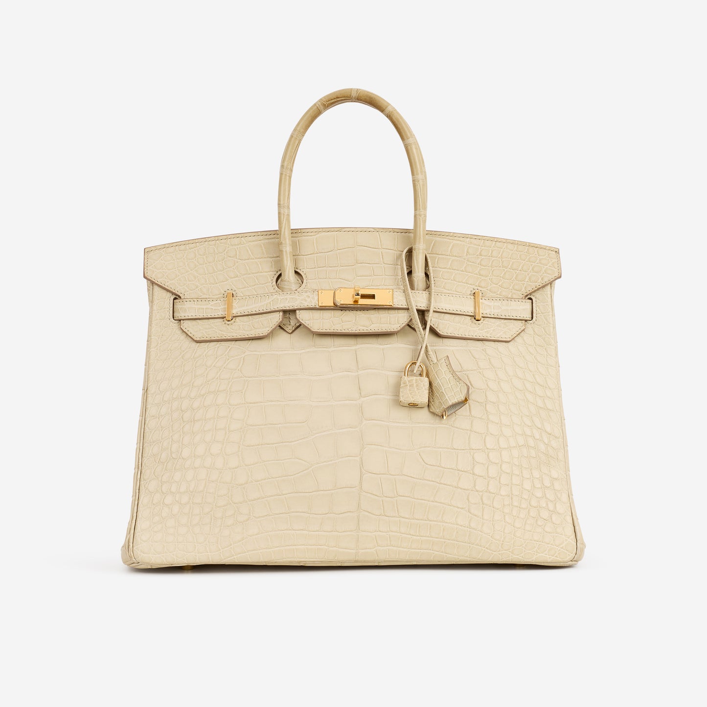 Hermès Birkin 35 - Gris Perle Alligator Mississippiensis | Gold Hardware