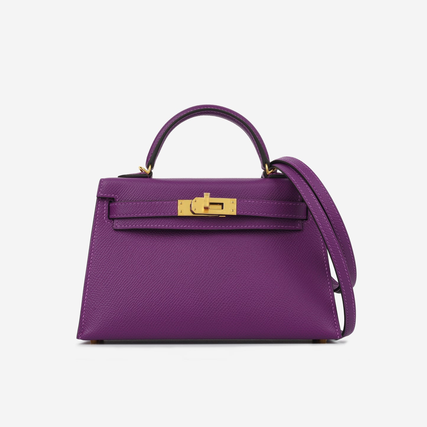 Mini Kelly - Anemone