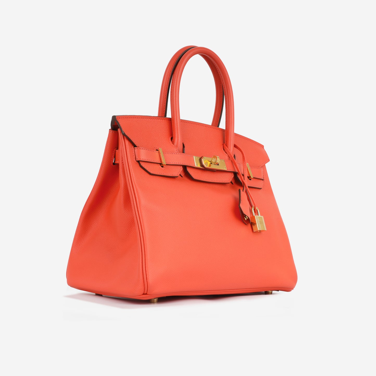 Birkin 30 - Rose Jaipur