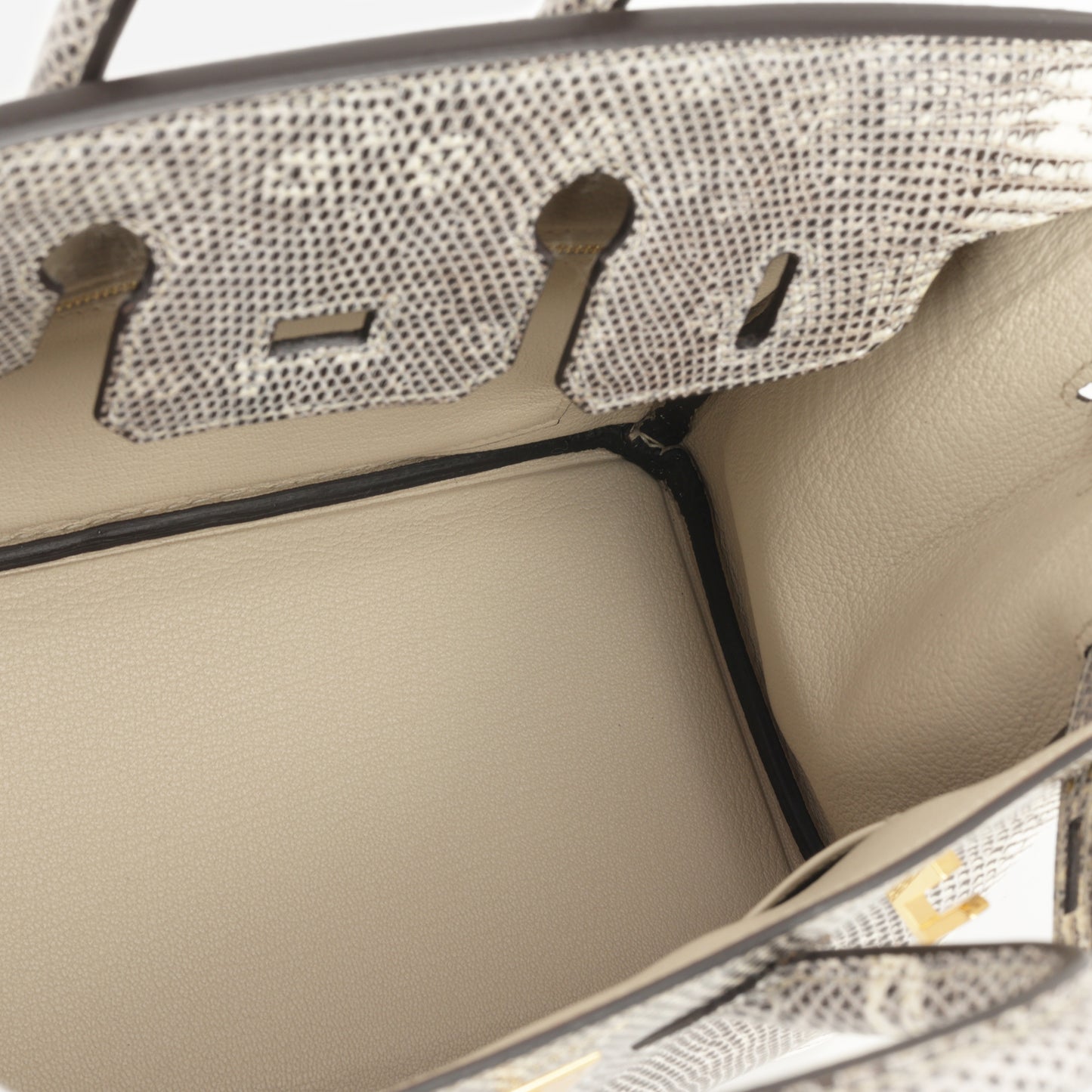 Hermès Birkin 25 - Ombre Lizard Salvator | Gold Hardware - Bagista