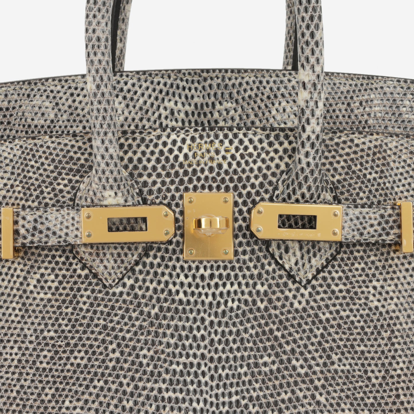 Hermès Birkin 25 - Ombre Lizard Salvator | Gold Hardware - Bagista