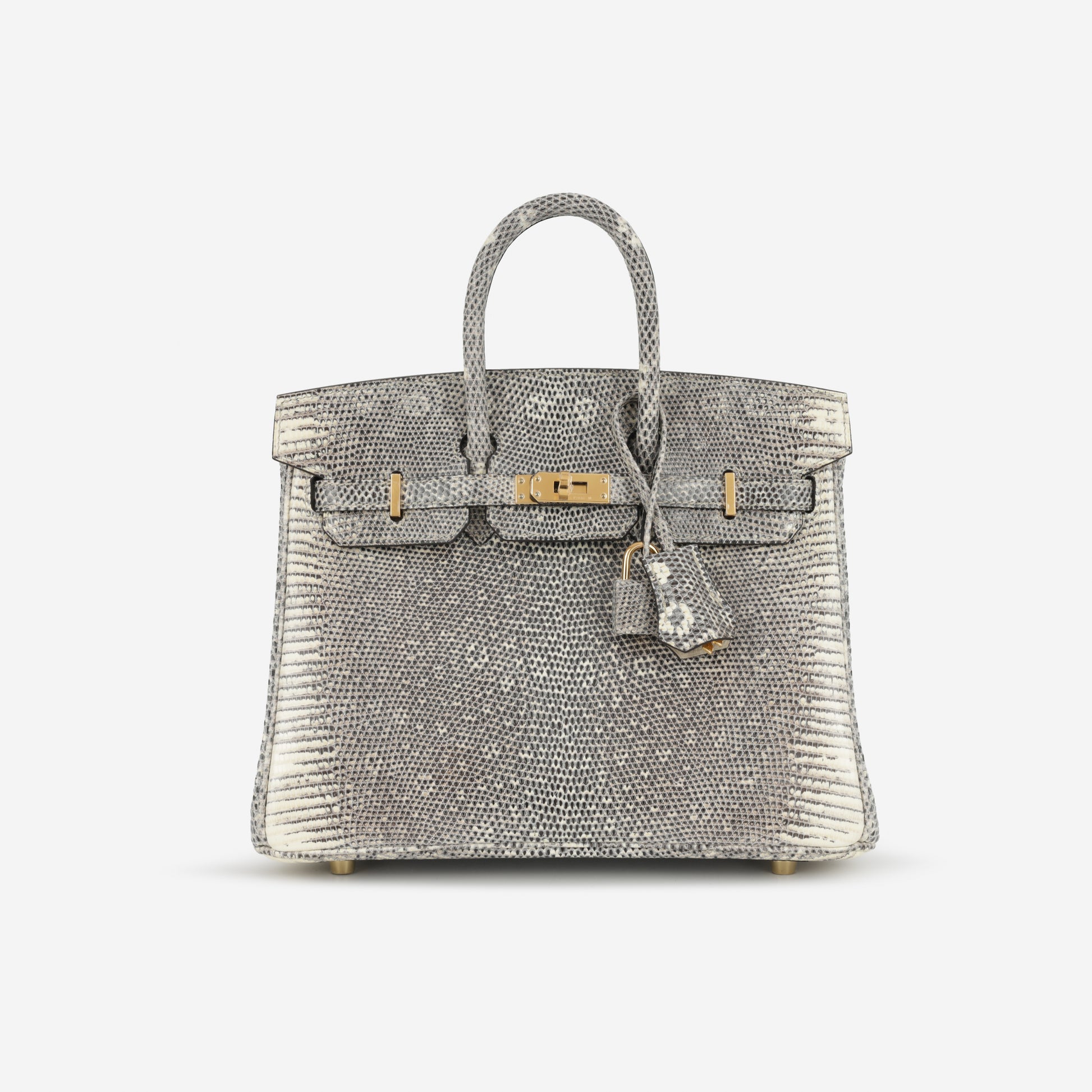 Hermès Birkin 25 - Ombre Lizard Salvator | Gold Hardware - Bagista
