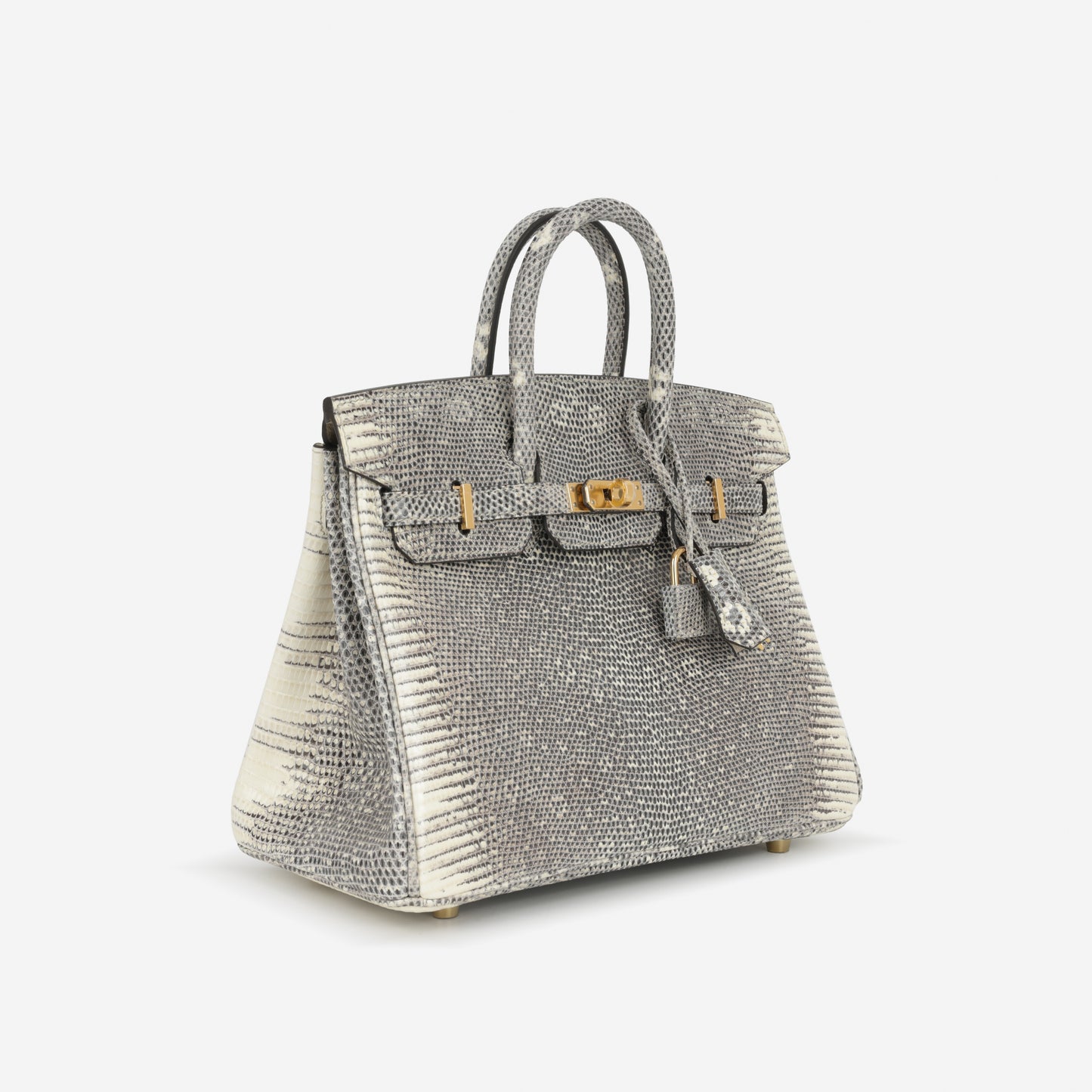 Hermès Birkin 25 - Ombre Lizard Salvator | Gold Hardware - Bagista