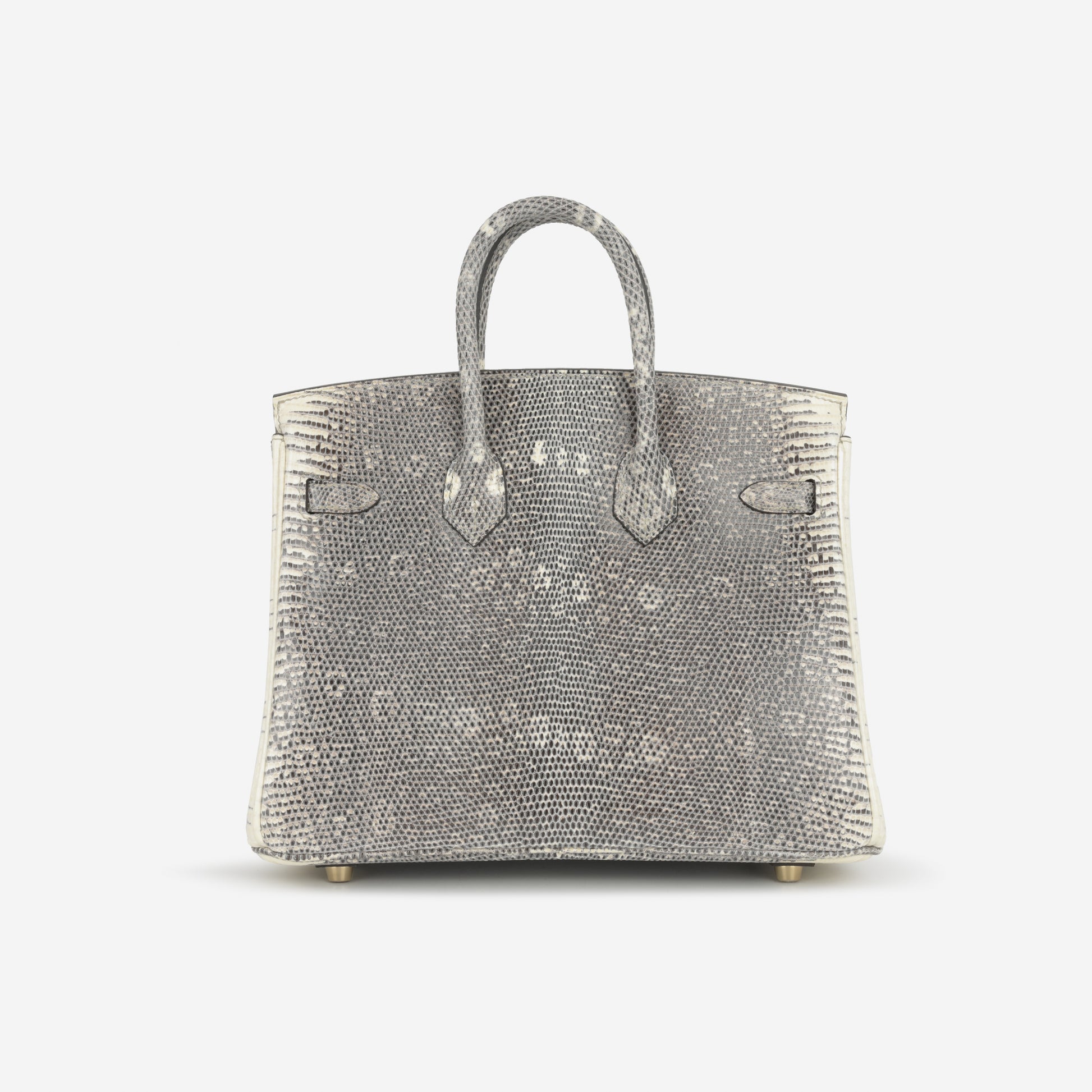 Hermès Birkin 25 - Ombre Lizard Salvator | Gold Hardware - Bagista