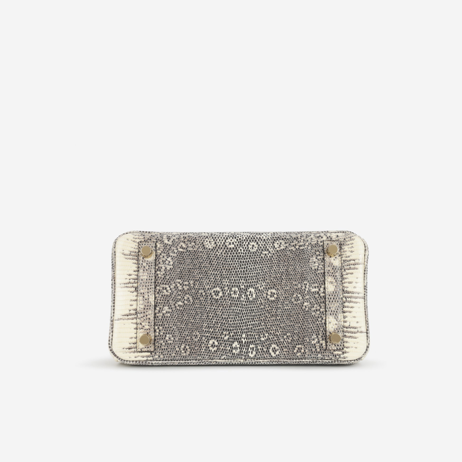 Hermès Birkin 25 - Ombre Lizard Salvator | Gold Hardware - Bagista