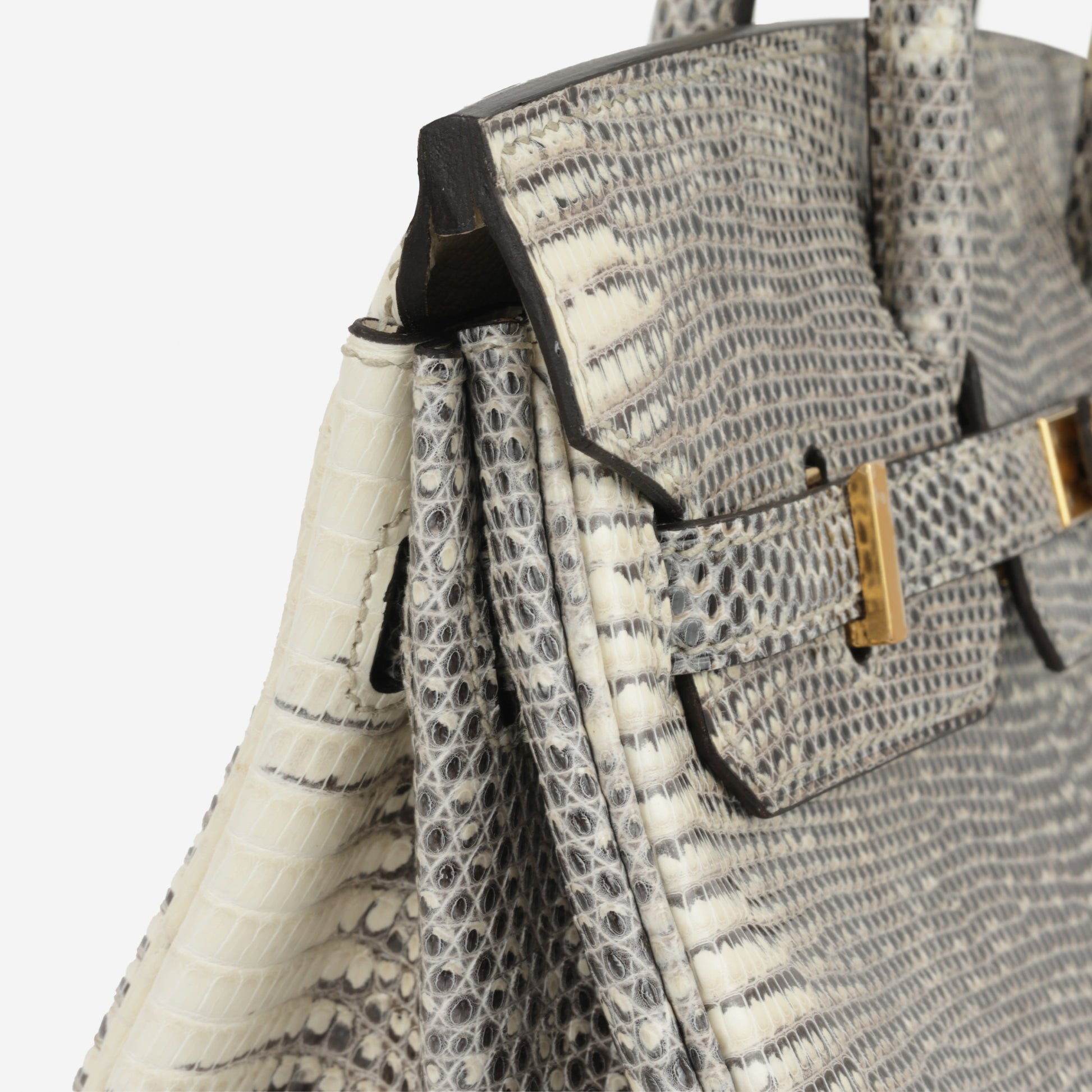 Hermès Birkin 25 - Ombre Lizard Salvator | Gold Hardware - Bagista