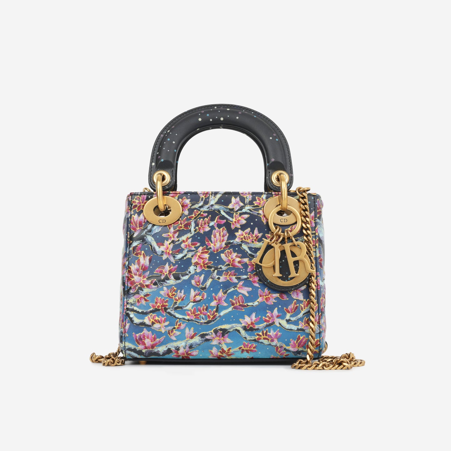 Mini Lady Dior Art