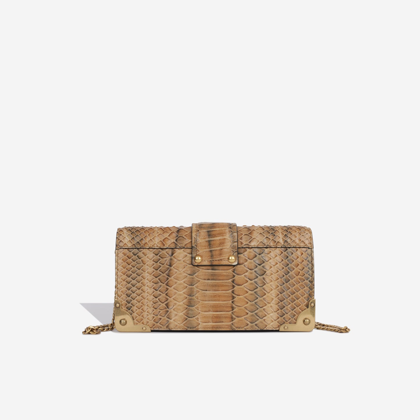 Python Cahier Clutch